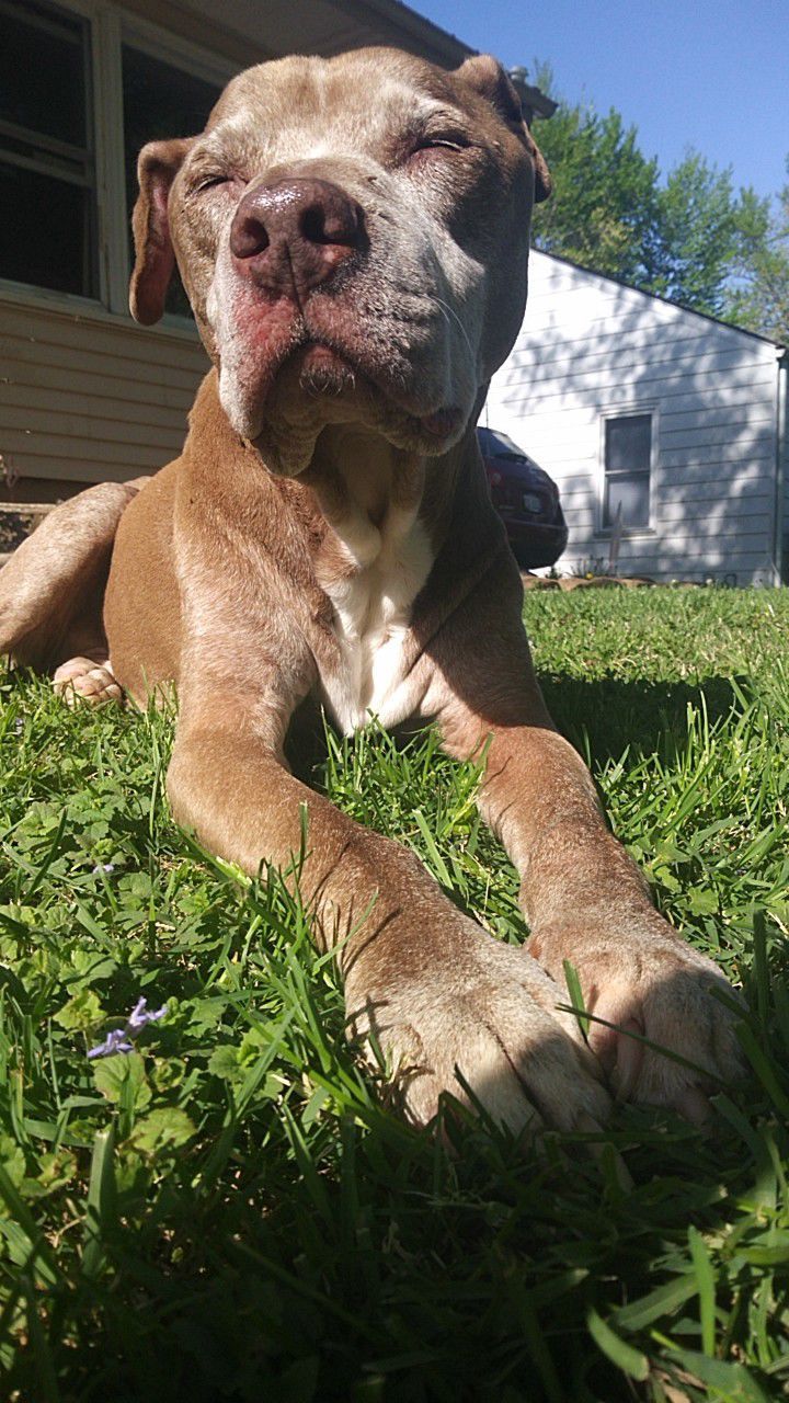 Roscoe